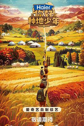 网络大伪装大师海报剧照